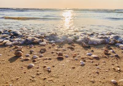Plage de Granville au coucher de soleil