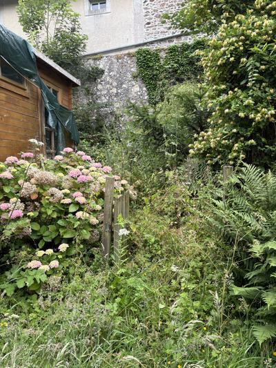 Chemin dallé vers le cabanon dégagé des herbes folles et des massifs envahis — avant