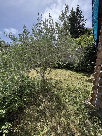 Partie haute du jardin remise en état après débroussaillage