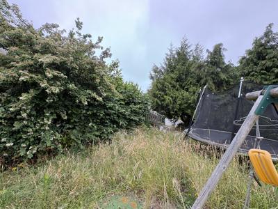 Pelouse débroussaillée et tondue autour du trampoline et de la cabane des enfants — avant