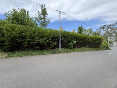 Talus enherbé et pied de haie débroussaillés en bord de route — avant