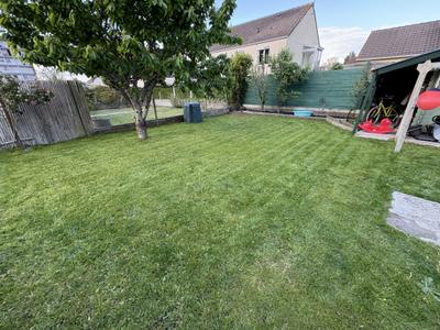 Jardin résidentiel avec pelouse fraîchement tondue, arbres et haie en arrière-plan